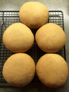 Spelt rolls