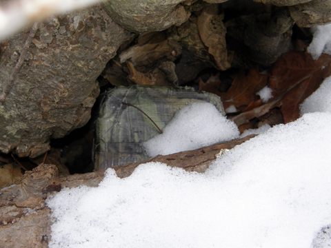 Geocache in the snow