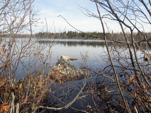 Lunchtime Geocaching By A Lake