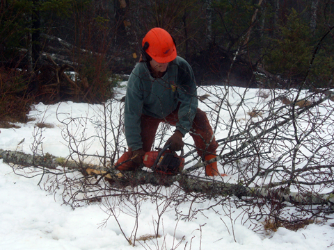 Chainsaw limbing technique