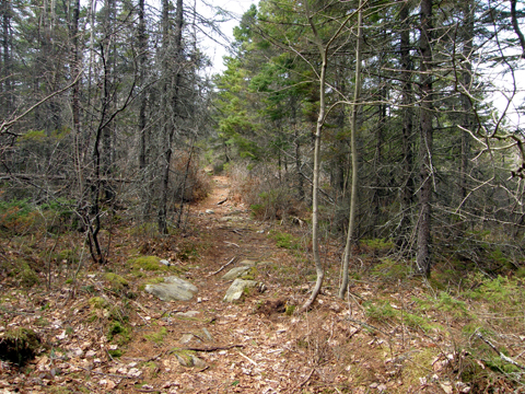 Caching At Cole Harbour Heritage Park