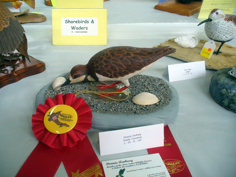 2009 NSWCAA Carving Competition