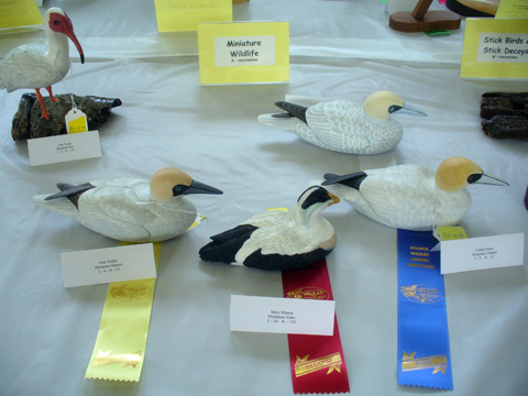 2009 NSWCAA Carving Competition