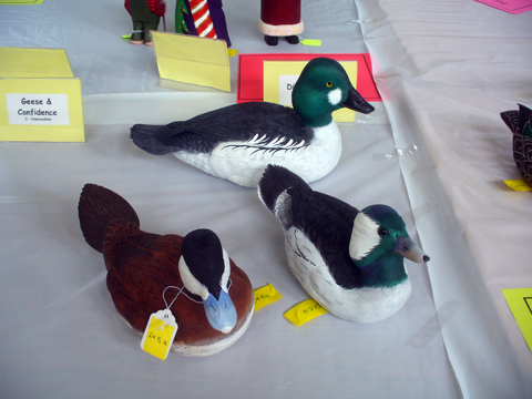 2009 NSWCAA Carving Competition