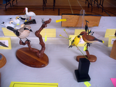 2009 NSWCAA Carving Competition