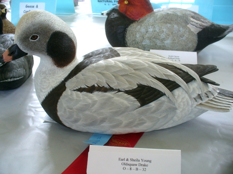 2009 NSWCAA Carving Competition