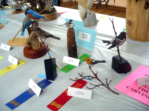 2009 NSWCAA Carving Competition