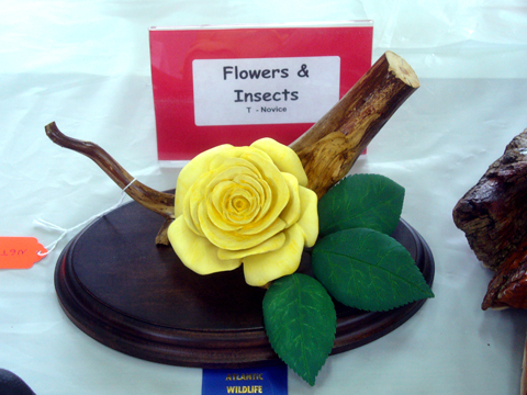 2009 NSWCAA Carving Competition