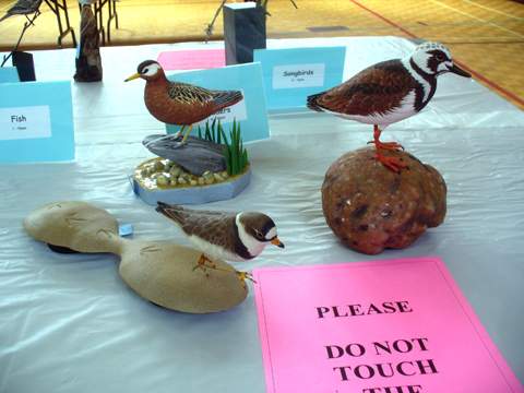 2009 NSWCAA Carving Competition