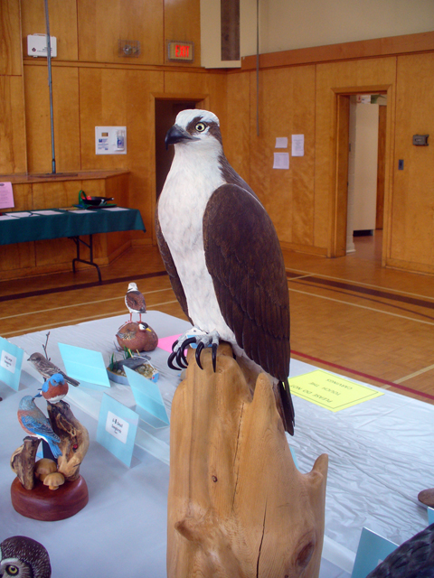 2009 NSWCAA Carving Competition