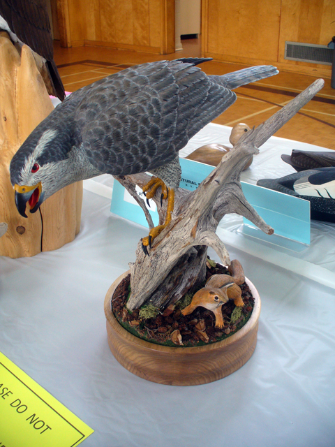 2009 NSWCAA Carving Competition