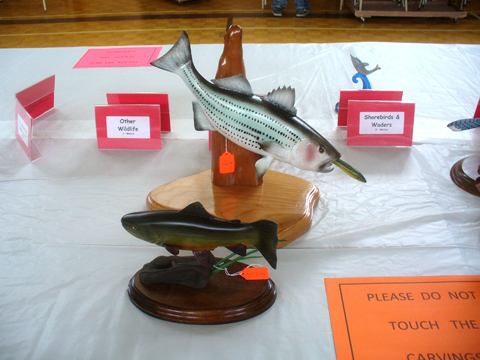 2009 NSWCAA Carving Competition