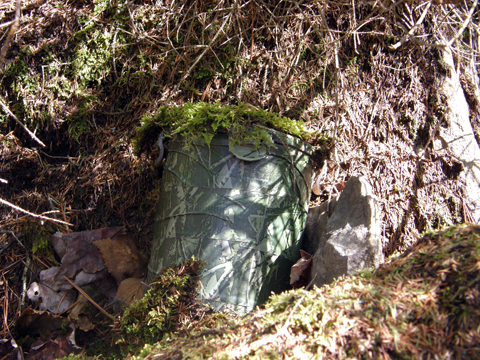 Geocaching Jive At Juniper Lake