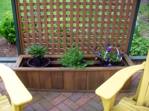 Large wooden planter