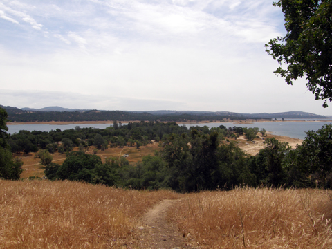 Geocaching At Folsom Lake Park