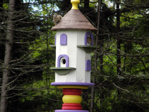 And I Thought It Was A Birdhouse!