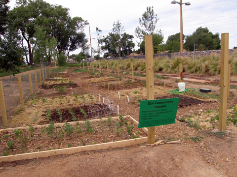 Community garden in Santa Fe