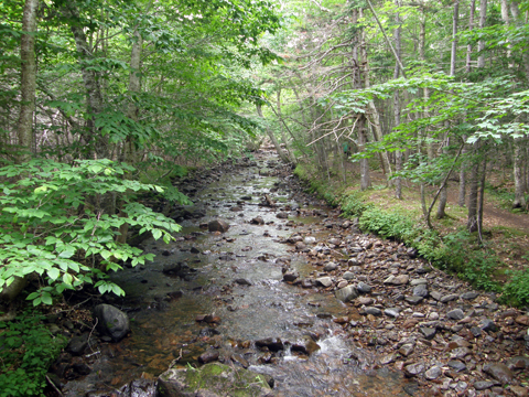 Cape Breton Highlands Geocaching