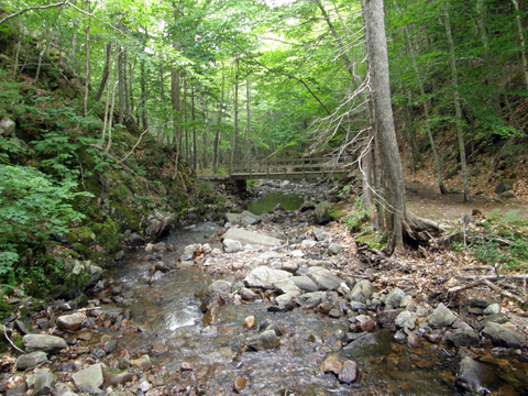 Cape Breton Highlands Geocaching