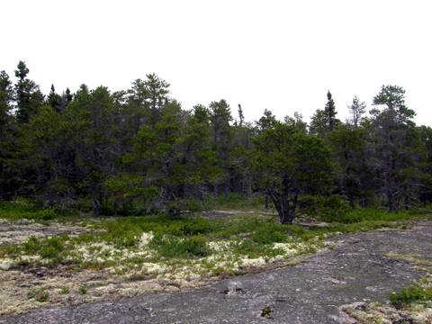 Cape Breton Highlands Geocaching