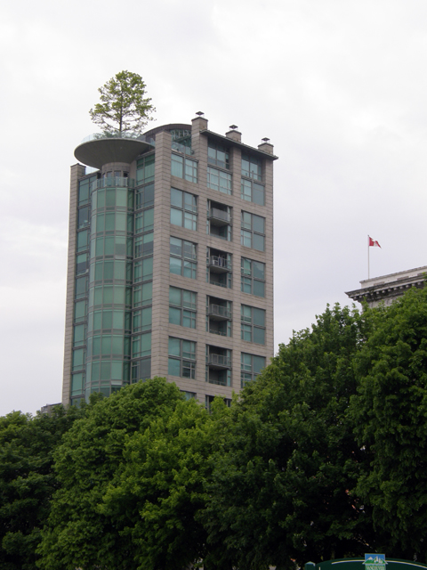 A Bit Of Geocaching In Stanley Park