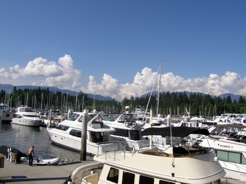 A Bit Of Geocaching In Stanley Park