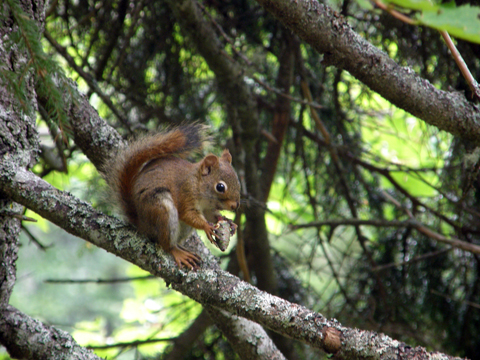 Caching At Blomidon Provincial Park