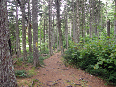 Caching At Blomidon Provincial Park