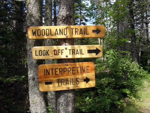 Caching At Blomidon Provincial Park