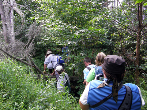 Hiking And Caching At Cape Split