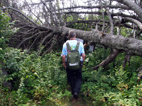 Hiking And Caching At Cape Split