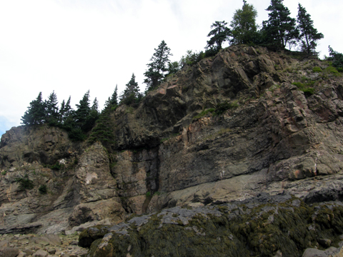 Hiking And Caching At Cape Split