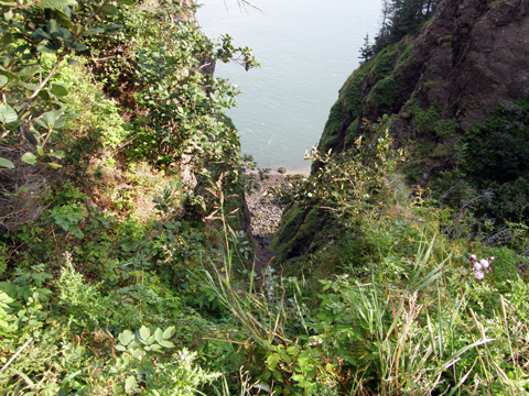 Hiking And Caching At Cape Split