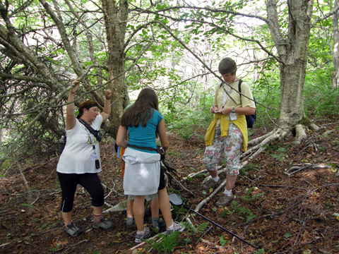 Hiking And Caching At Cape Split