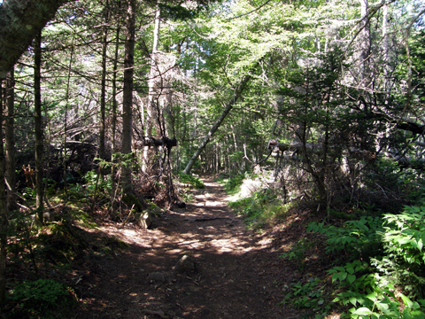 Hiking And Caching At Cape Split