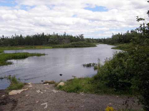 Geocaching The Shearwater Flyer Trail