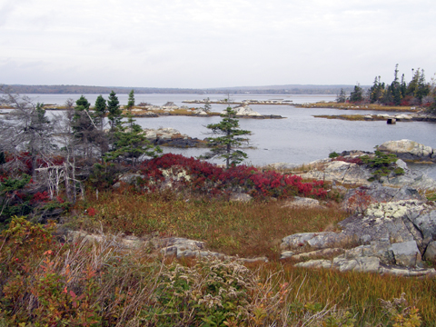 The Salt Marsh Trail