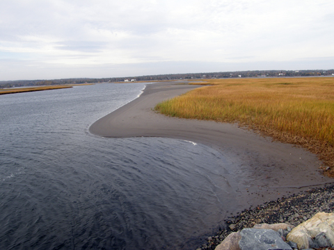 The Salt Marsh Trail