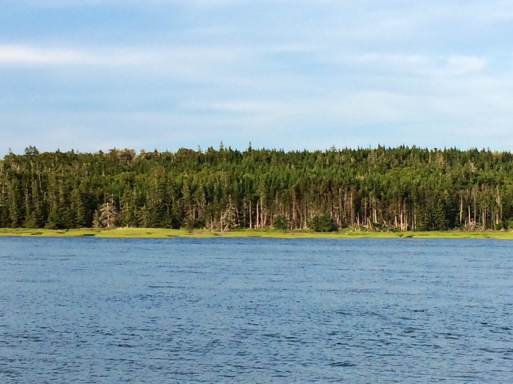 walking the shoreline