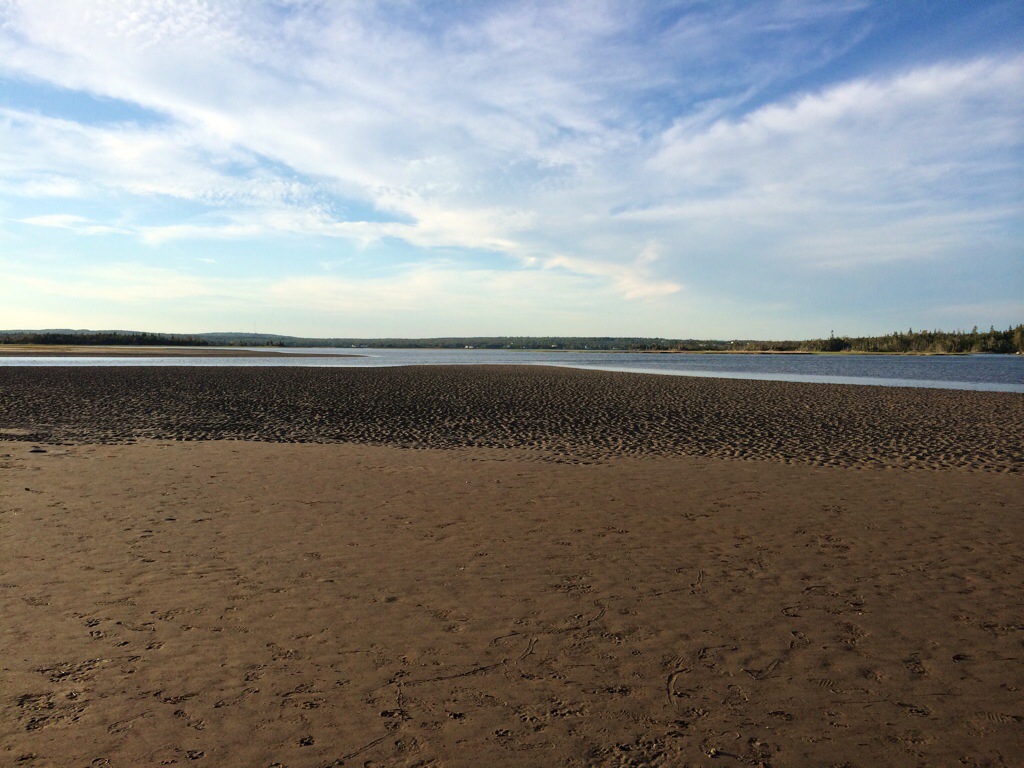 evening beachcombing