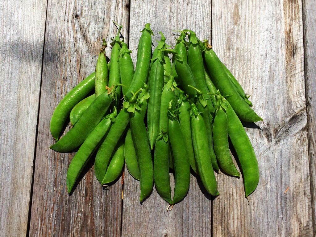 grow your own peas