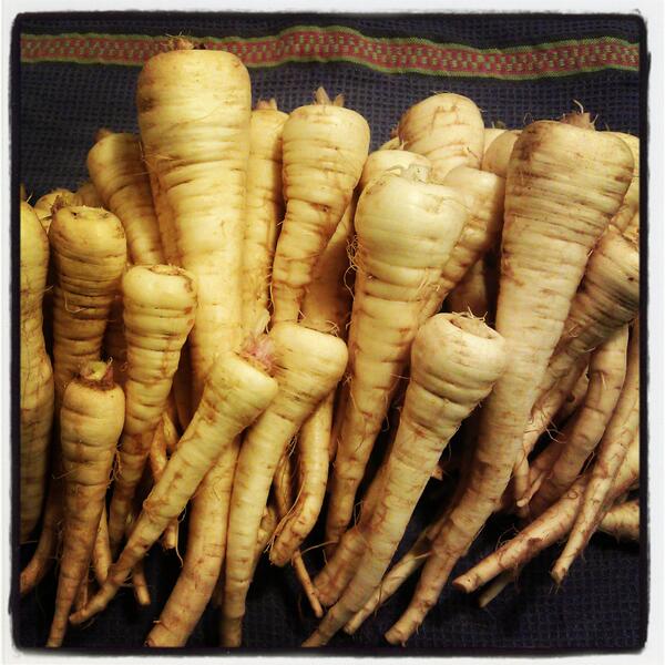 merry mob of pretty parsnips