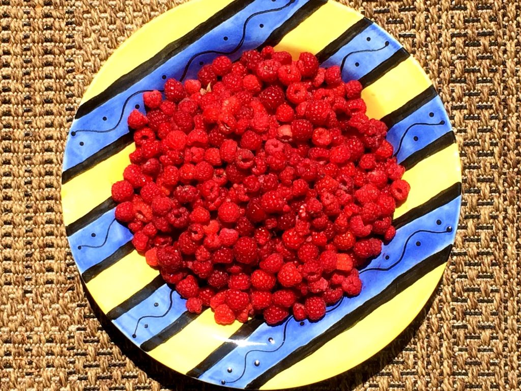 Very Berry Raspberries IMG_1333-0.JPG