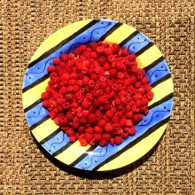 Very Berry Raspberries IMG_1333-0.JPG