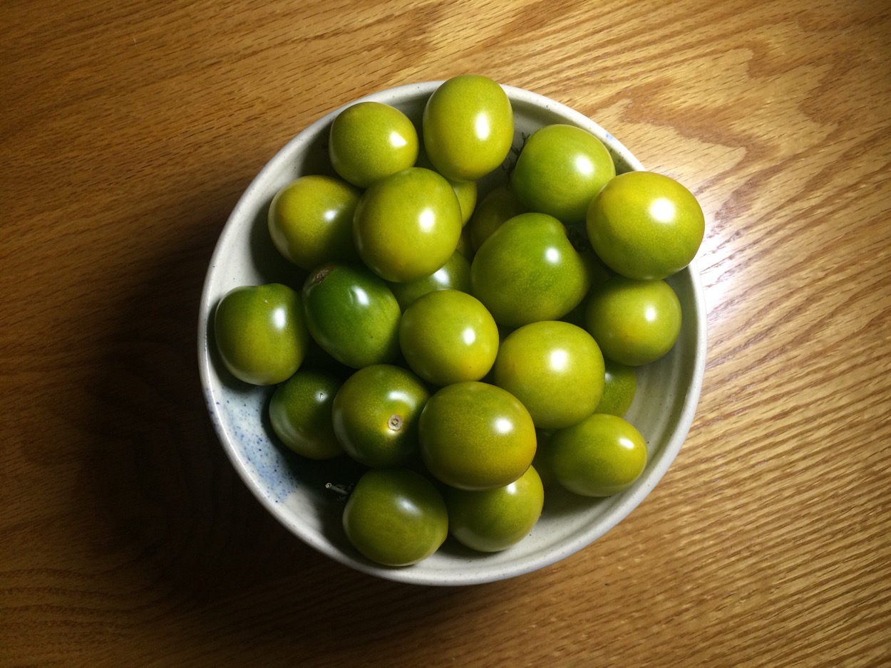 Green Grape Tomatoes