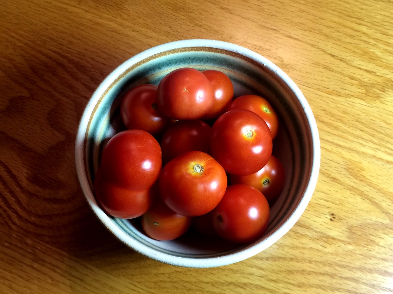 Outdoor Girl Tomatoes