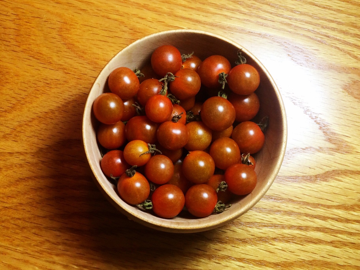Chiapis Wild Tomatoes