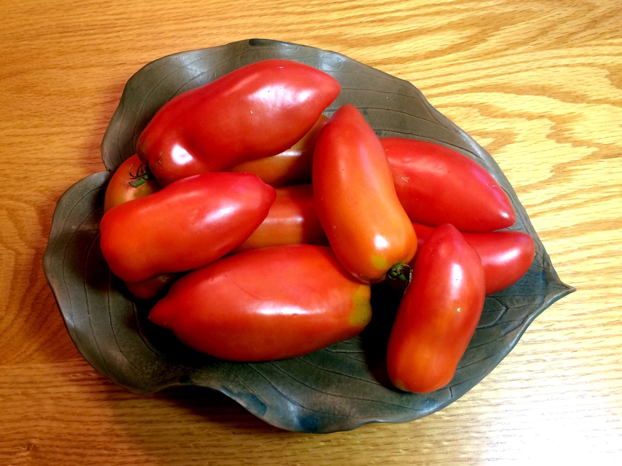 Andean Tomatoes