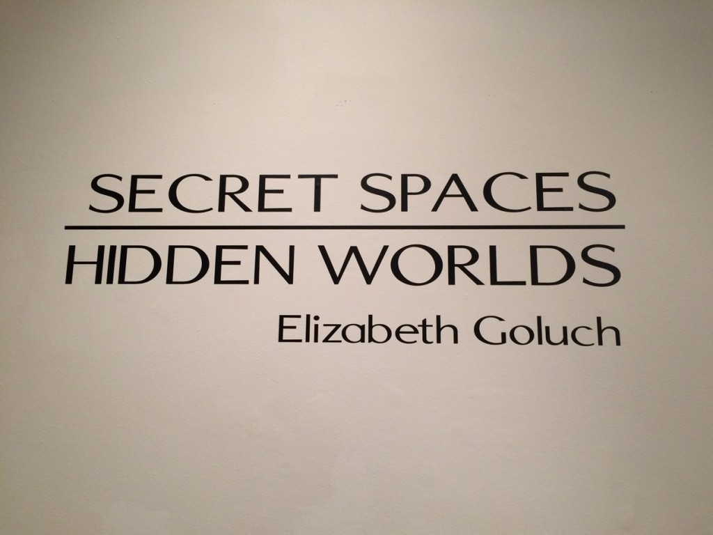 Secret Spaces, Hidden Worlds IMG_6938.JPG