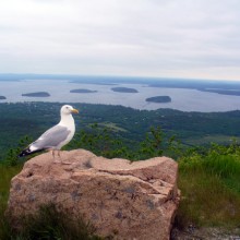 Caching In Maine Caching In Maine